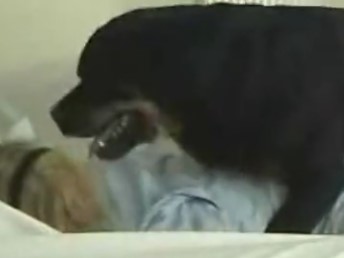 Cachorro rottweiler fodendo minha empregada domestica