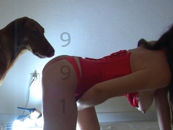 Mulher goza com cachorro lambendo a buceta dela