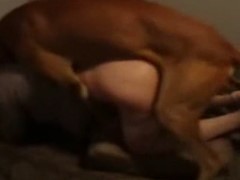 Zoofilia mulher loira gostosa que gosta de transar com cachorro